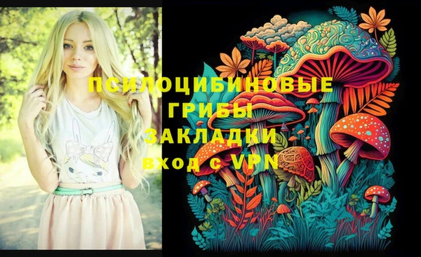 не бодяженный Алзамай